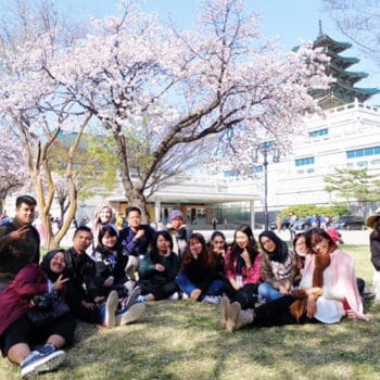 Spring Korea Cultural Camp